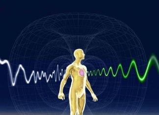 Ici. Maintenant. Prenez en charge votre Syntoniseur